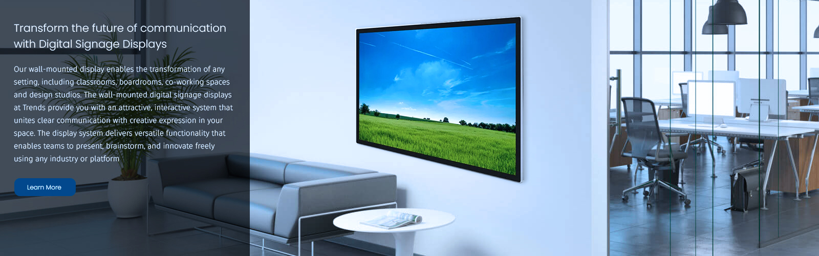 Wall Mounted Displays
